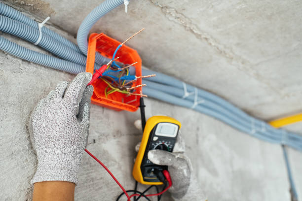 Best Electric Panel Repair  in Nekoosa, WI
